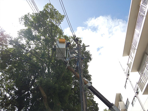 老松中学校ほか1校高圧引込ケーブル改修工事 老松中学校ほか1校高圧引込ケーブル改修工事
